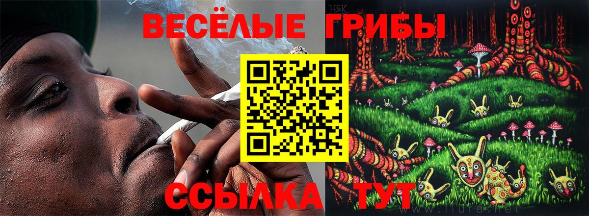 Вятские Поляны  Галлюциногенные грибы прущие грибы  Вход с VPN 
