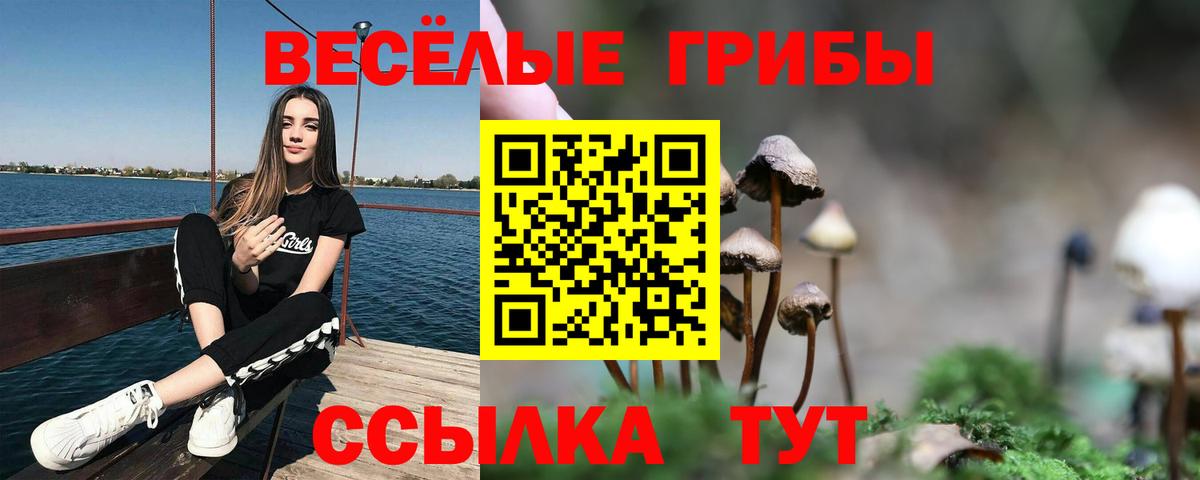 Галлюциногенные грибы Cubensis Вятские Поляны