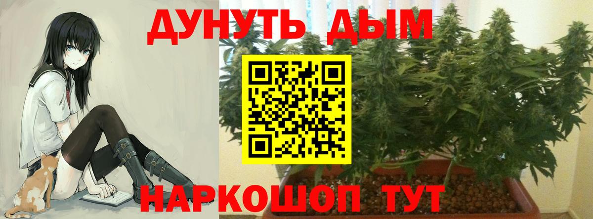 Каннабис AK-47  Каннабис тримм  Бошки марихуана планчик  Вход с VPN  Вятские Поляны 